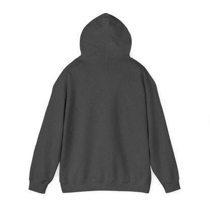 Alberta Hex Logo Hoodie — Vintage Mountain Crest Sweatshirt