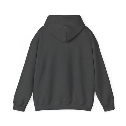 Alberta Hex Logo Hoodie — Vintage Mountain Crest Sweatshirt