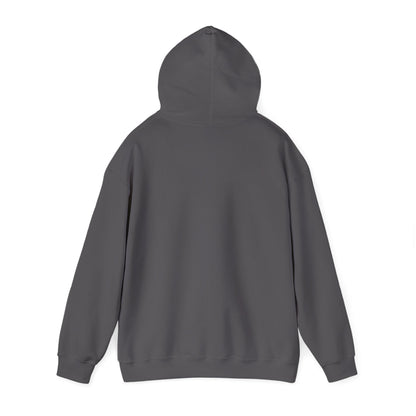 Alberta Hex Logo Hoodie — Vintage Mountain Crest Sweatshirt