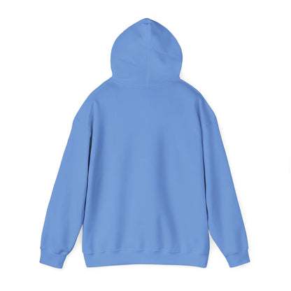 Alberta Hex Logo Hoodie — Vintage Mountain Crest Sweatshirt